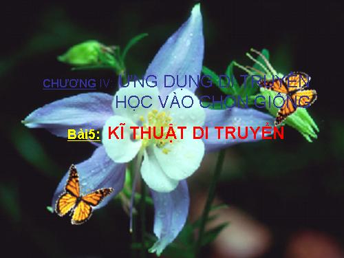 Kĩ Thuật Di Truyền