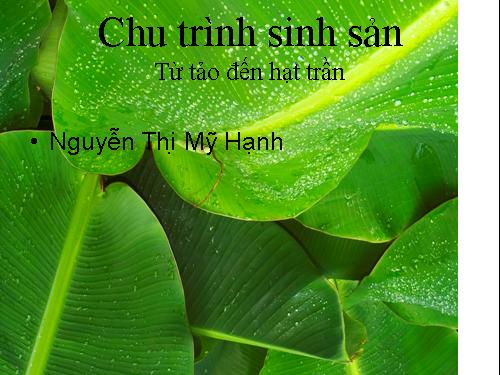 chu trình sinh sản