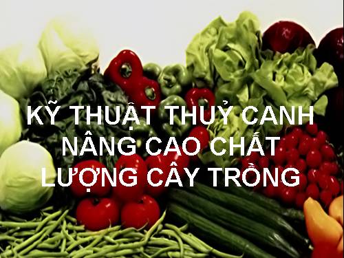 THỦY CANH PP