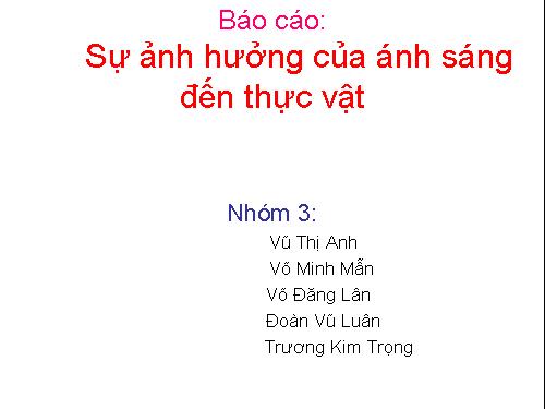 ÁNH SÁNG PP