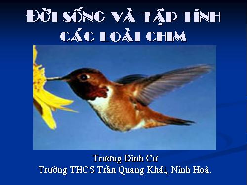 Đời sống và tập tính của chim