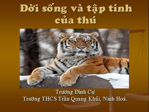 Tập tính và đời sống của chim