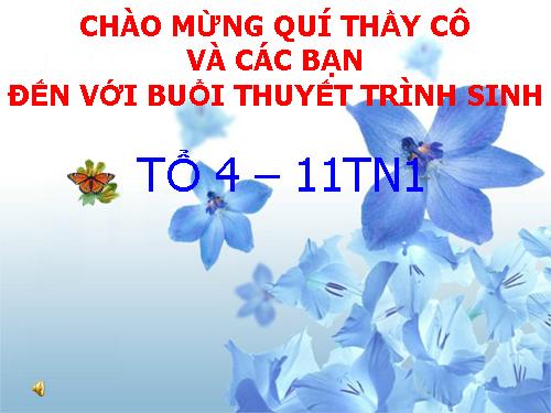 chuyên đề: giáo dục sức khỏe sinh sản tuổi vị thành niên