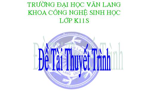 Phương Pháp Sấy