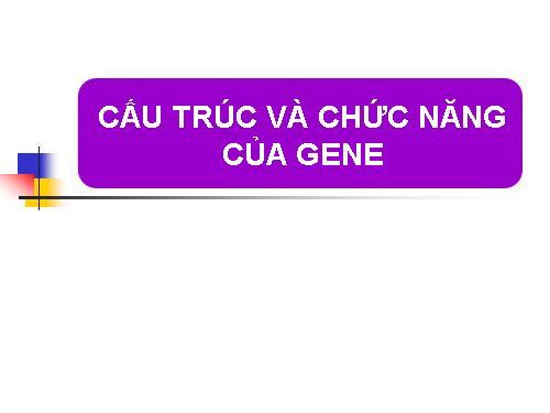 Cấu trúc và chức năng của gen