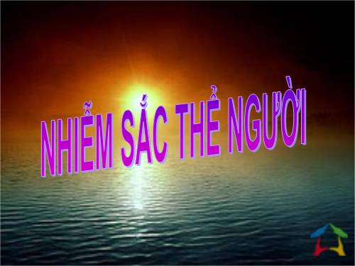 Nhiễm sắc thể người