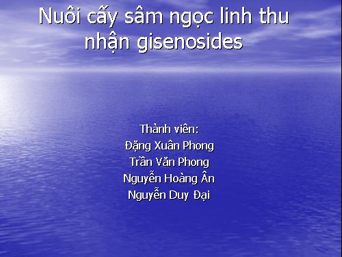 SÂM NGỌC LINH