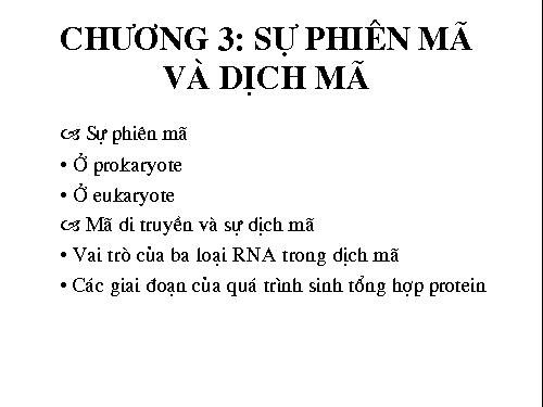 phiên mã và dịch mã