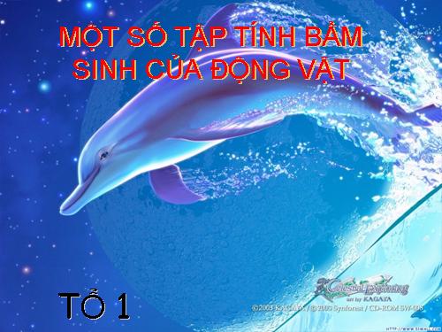 sinh tập tính