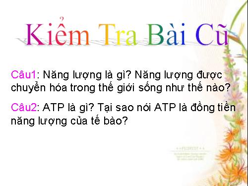 Bài 22: Enzim và vai trò của enzim trong quá trình chuyển hóa vật chất