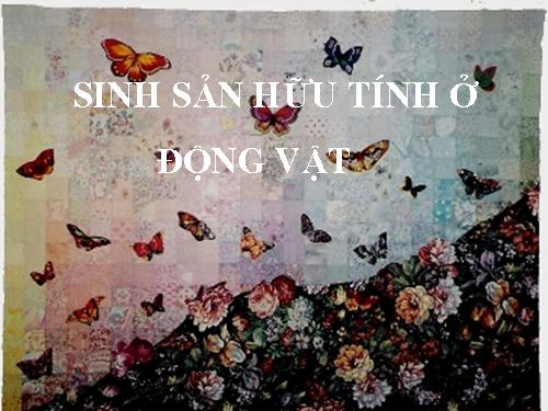 Sinh sản hữu tính ở động vật