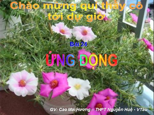 ỨNG ĐỘNG