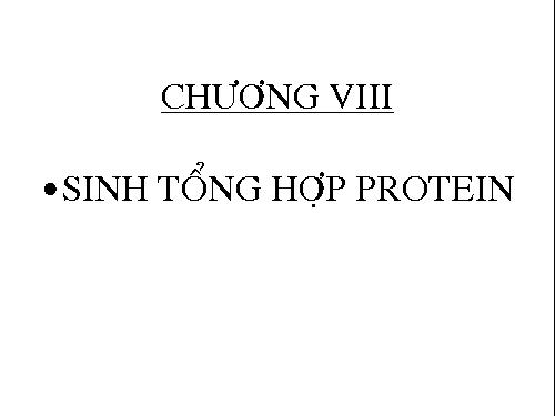 sinh tổng hợp protein