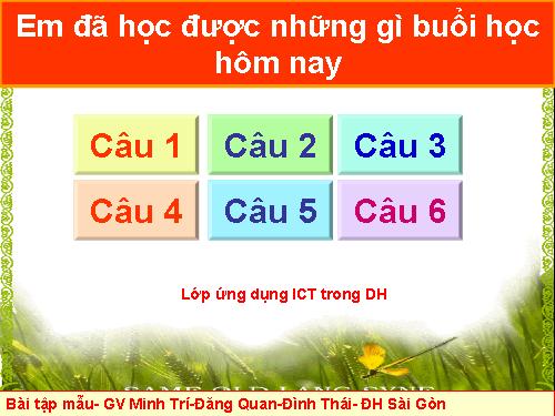 file mẫu cũng cố