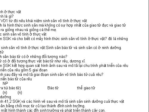 bai 41 sinh san vô tinh o thuc vat