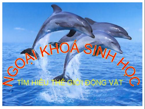 Ngoại khóa