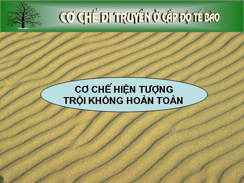 Giao an điện tử