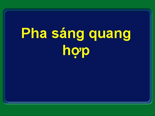 Pha sang Quang hop