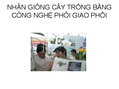 nhân giống cây trồng bằng công nghệ phôi giao phối