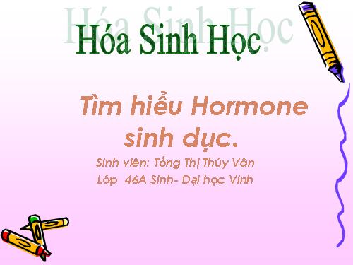 Hormone Sinh dục