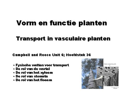 Transport in vasculaire planten