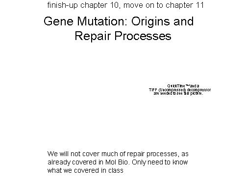 Gene Mutation: Origins and Repair Processes