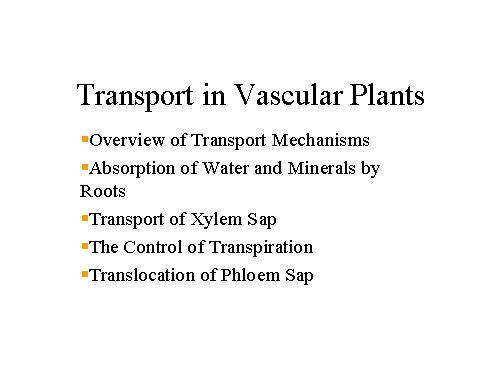 Transport in plant2
