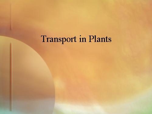 Transport in plant