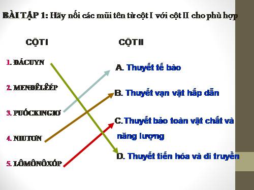 Bài 9. Ấn Độ thế kỉ XVIII - đầu thế kỉ XX