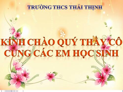 Bài 30. Phong trào yêu nước chống Pháp từ đầu thế kỉ XX đến năm 1918