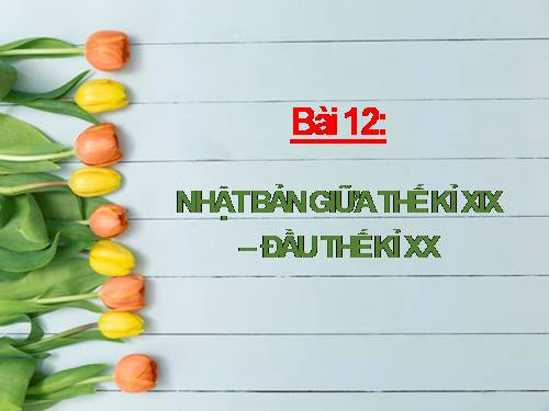 Bài 12. Nhật Bản giữa thế kỉ XIX - đầu thế kỉ XX