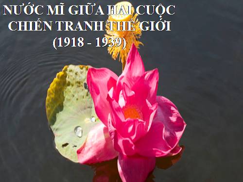 Bài 18. Nước Mĩ giữa hai cuộc chiến tranh thế giới (1918 - 1939)