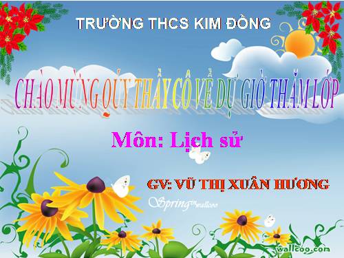 Bài 11. Các nước Đông Nam Á cuối thế kỉ XIX - đầu thê kỉ XX