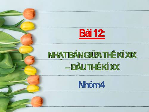 Bài 12. Nhật Bản giữa thế kỉ XIX - đầu thế kỉ XX