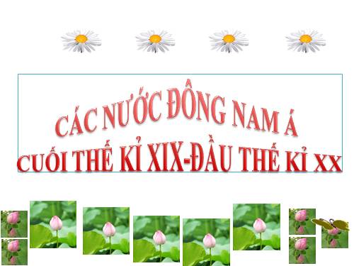 Bài 11. Các nước Đông Nam Á cuối thế kỉ XIX - đầu thê kỉ XX