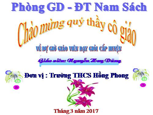 Tiết 45 - Bài tập lịch sử