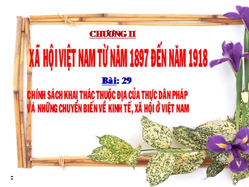 Bài 29. Chính sách khai thác thuộc địa của thực dân Pháp và những chuyển biến về kinh tế, xã hội ở Việt Nam