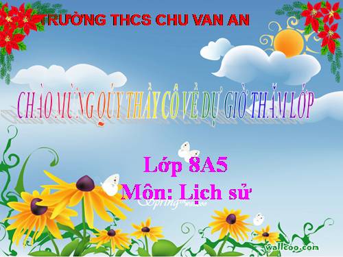 Bài 11. Các nước Đông Nam Á cuối thế kỉ XIX - đầu thê kỉ XX