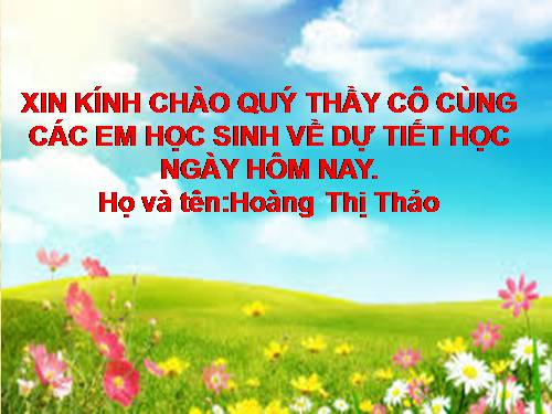 Bài 11. Các nước Đông Nam Á cuối thế kỉ XIX - đầu thê kỉ XX
