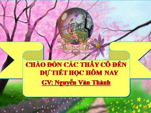 Bài 29. Chính sách khai thác thuộc địa của thực dân Pháp và những chuyển biến về kinh tế, xã hội ở Việt Nam