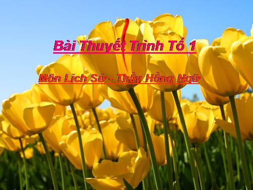 Bài 3. Chủ nghĩa tư bản được xác lập trên phạm vi thế giới