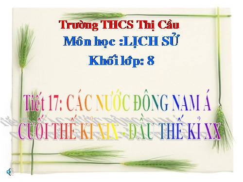 Bài 11. Các nước Đông Nam Á cuối thế kỉ XIX - đầu thê kỉ XX