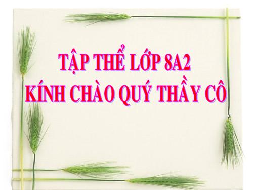 Bài 9. Ấn Độ thế kỉ XVIII - đầu thế kỉ XX