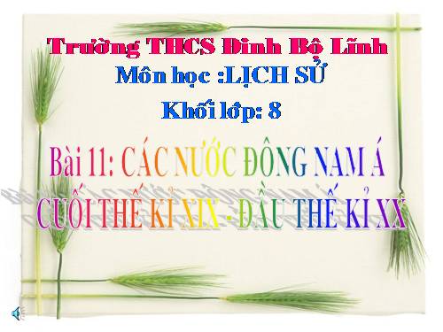 Bài 11. Các nước Đông Nam Á cuối thế kỉ XIX - đầu thê kỉ XX