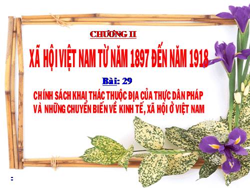 Bài 29. Chính sách khai thác thuộc địa của thực dân Pháp và những chuyển biến về kinh tế, xã hội ở Việt Nam