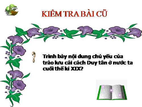 Bài 29. Chính sách khai thác thuộc địa của thực dân Pháp và những chuyển biến về kinh tế, xã hội ở Việt Nam