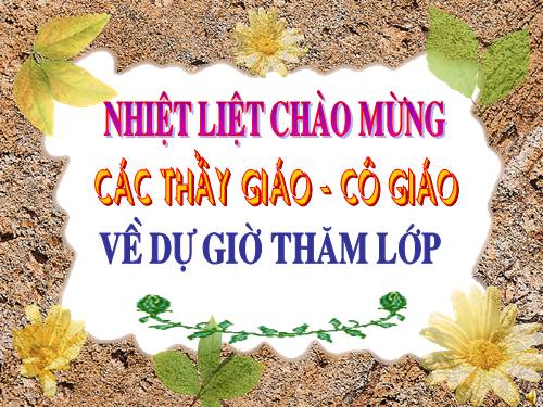 Bài 30. Phong trào yêu nước chống Pháp từ đầu thế kỉ XX đến năm 1918