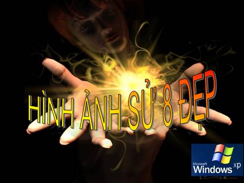 ẢNH TƯ LIỆU LS 8 - SỐ 1