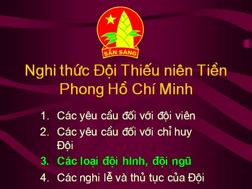 GD CD: STGT nghi thức Đội TNTP HCM