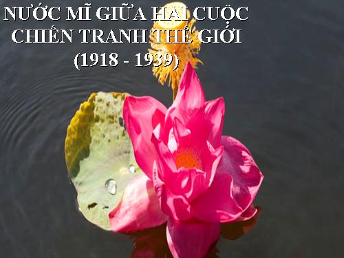 Bài 18. Nước Mĩ giữa hai cuộc chiến tranh thế giới (1918 - 1939)